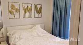 ยูนิตมือสองและให้เช่า