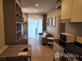 คอนโด 1 ห้องนอน ให้เช่า ในโครงการ แอมเบอร์ บาย อีสเทิร์น สตาร์, บางเขน