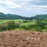  Земельный участок for sale in Pong Ta Long, Накхон Ратчасима, Pong Ta Long, Pak Chong, Накхон Ратчасима