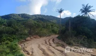 N/A Grundstück zu verkaufen in Ko Pha-Ngan, Koh Samui 