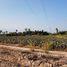 N/A Land for sale in Wang Phong, Hua Hin Quick Deal for Land Plots with a Beautiful Mountain View in Thap Tai