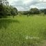  Terreno (Parcela) for sale in Flores, Heredia, Flores