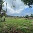  Land for sale in Bo Phut, Koh Samui, Bo Phut