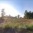  Land for sale in Thailand, Nong Ngu Lueam, Chaloem Phra Kiat, Nakhon Ratchasima, Thailand