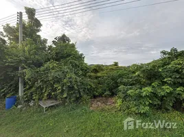  Land for sale in Saraburi, Na Yao, Phra Phutthabat, Saraburi