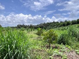  Terrain for sale in Thaïlande, Nong Bon, Bo Rai, Trat, Thaïlande