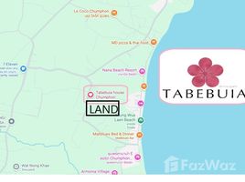ขายที่ดิน ใน สะพลี, ชุมพร, สะพลี, ปะทิว, ชุมพร, ไทย