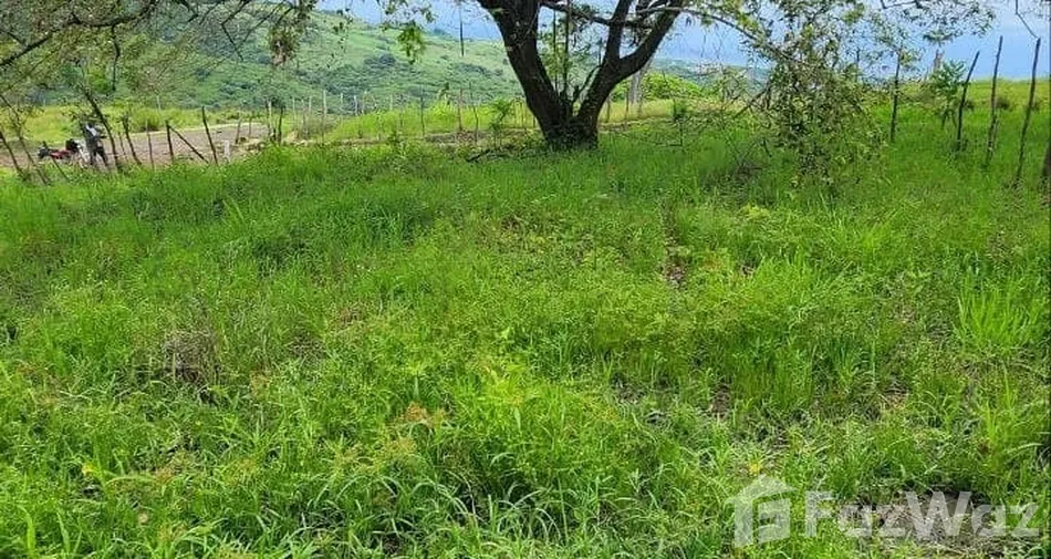 Solar en Puerto Plata, foto 3