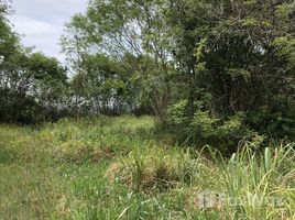  Land for sale in Nakhon Ratchasima, Nong Nam Daeng, Pak Chong, Nakhon Ratchasima