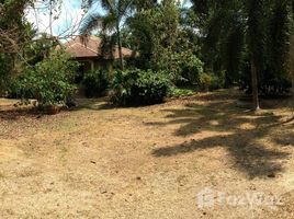 5 Bedroom House for sale in Lipa Noi, Koh Samui, Lipa Noi