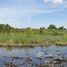  Land for sale in Bang Bo, Samut Prakan, Bang Bo, Bang Bo