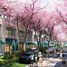 2 Bedroom Condo for sale at Sea Heaven, Sakhu
