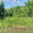 N/A Land for sale in Huai Sai, Chiang Mai Traditional village river front close to PTIS, Prem College