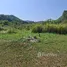  Land for sale in Mu Si, Nakhon Ratchasima, Mu Si