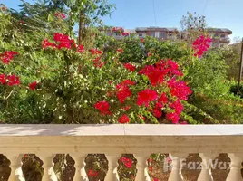 1 Schlafzimmer Wohnung zu verkaufen im Sunny Home, Hurghada Resorts, Hurghada, Red Sea, Ägypten