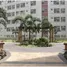 2 Habitación Departamento en venta en Suntrust Solana, Tondo I / II