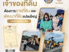 ขายที่ดิน ใน หัวเขา, สุพรรณบุรี, หัวเขา, เดิมบางนางบวช, สุพรรณบุรี