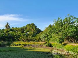 Земельный участок, N/A на продажу в Laem Sak, Краби Rare Location Land on Oceanfront in Ao Luek, Krabi