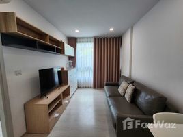 1 Bedroom Apartment for rent at The Tree Sukhumvit 64, Bang Chak, Phra Khanong