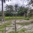  Land for sale in La Ceiba, Atlantida, La Ceiba
