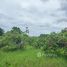  Land for sale in Thailand, Makhun Wan, San Pa Tong, Chiang Mai, Thailand