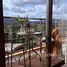 1 спален Кондо на продажу в Mai Khao Beach Condotel, Mai Khao