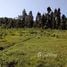 在尼泊尔出售的 土地, HetaudaN.P., Makwanpur, Narayani, 尼泊尔