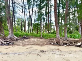  Land for sale in Pathio Chumphon, Bang Son, Pathio, Chumphon