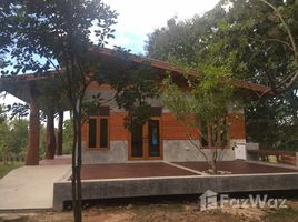 8 Bedroom House for sale in Mae Taeng, Chiang Mai, San Pa Yang, Mae Taeng
