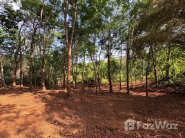 ขายที่ดิน ใน ป่าคลอก, ภูเก็ต, ป่าคลอก