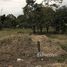  Land for sale in Siquirres, Limon, Siquirres