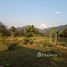 N/A Land for sale in Thung Chang, Nan 11 Rai Land With A House & 7 Bungalows