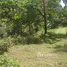 ขายที่ดิน ใน ตลิ่งงาม, สุราษฎร์ธานี, ตลิ่งงาม, เกาะสมุย, สุราษฎร์ธานี