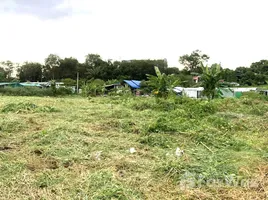 在FazWaz.cn出售的 土地, 拉威, 普吉镇, 普吉, 泰国