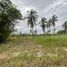 ขายที่ดิน ใน โป่ง, พัทยา, โป่ง, พัทยา, ชลบุรี