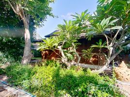 3 Bedrooms House for sale in Khua Mung, Chiang Mai Thai Style House in Saraphi 