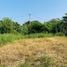  Land for sale in Nakhon Ratchasima, Pak Chong, Pak Chong, Nakhon Ratchasima