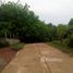 ขายที่ดิน ใน เชียงกลม, เลย, เชียงกลม, ปากชม, เลย