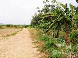N/A Land for sale in Yang Nam Klat Tai, Phetchaburi Land for Sale in Nong Ya Plong