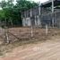  Land for sale in Songkhla, Saba Yoi, Saba Yoi, Songkhla