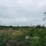  Land for sale in Phra Nakhon Si Ayutthaya, Sam Mueang, Lat Bua Luang, Phra Nakhon Si Ayutthaya