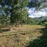 ขายที่ดิน ใน กะทู้, ภูเก็ต, กะทู้, กะทู้, ภูเก็ต