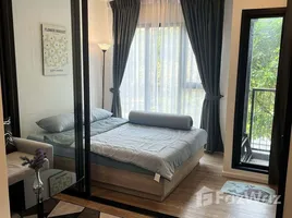 คอนโด 1 ห้องนอน ให้เช่า ในโครงการ โมดิซ สุขุมวิท 50, พระโขนง, คลองเตย