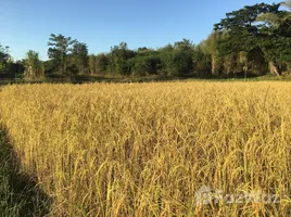  Terreno (Parcela) en venta en Lampang, Tha Pha, Ko Kha, Lampang