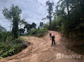 ขายที่ดิน ใน เกาะแก้ว, ภูเก็ต, เกาะแก้ว, เมืองภูเก็ต