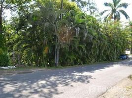  Grundstück zu verkaufen im Quepos, Aguirre, Puntarenas