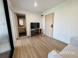 อพาร์ทเม้นท์ 1 ห้องนอน ให้เช่า ในโครงการ อาโล่ สุขุมวิท 105 - ลาซาล, บางนา