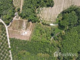  Land for sale in Thai Mueang, Phangnga, Na Toei, Thai Mueang