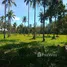  Land for sale in Thalang Phuket, Pa Khlok, Thalang, Phuket