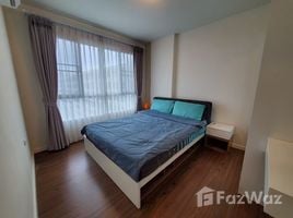 1 Bedroom Condo for rent at D Condo Nim, Fa Ham, Mueang Chiang Mai, Chiang Mai, Thailand
